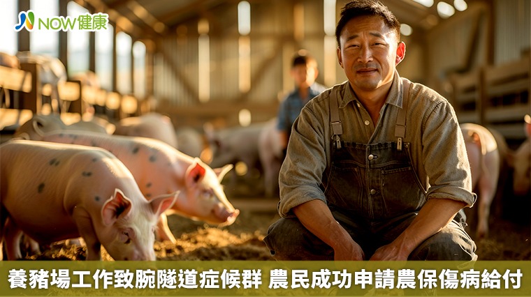 養豬場工作致腕隧道症候群　農民成功申請農保傷病給付
