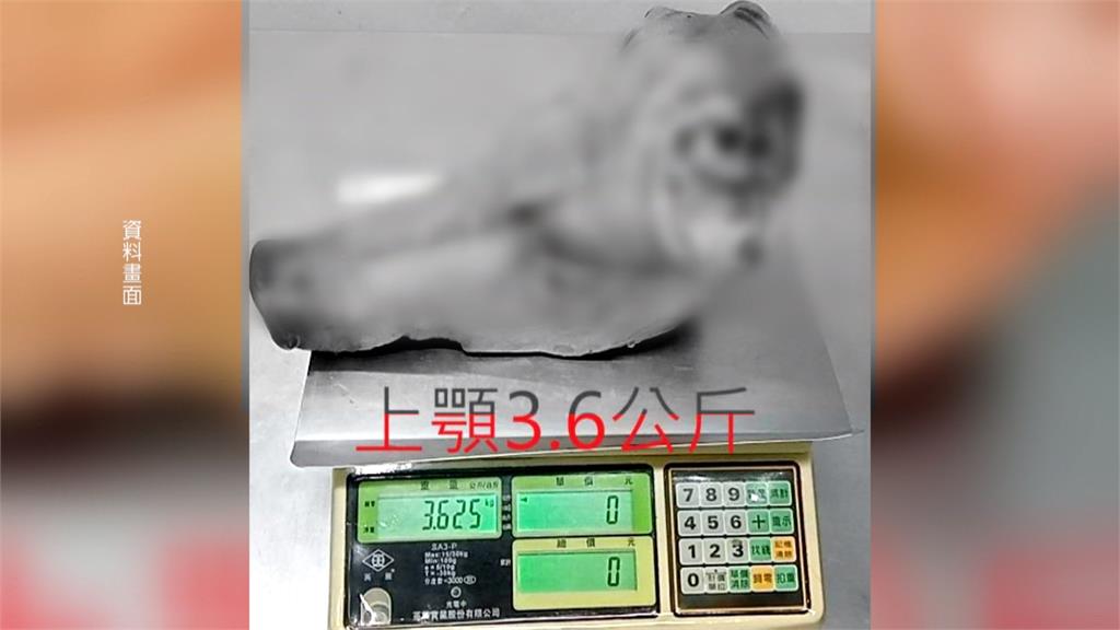 玉里鎮長龔文俊送殘豬涉賄　二審逆轉民、刑事改判無罪　申請復職