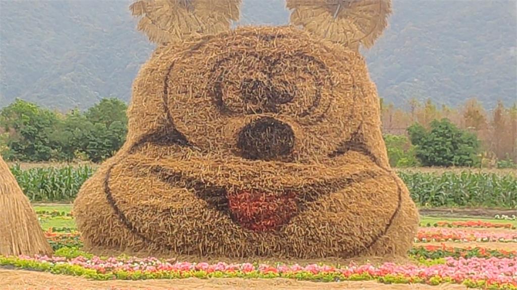 打造「米奇」造型稻草地景 乍看比較像熊