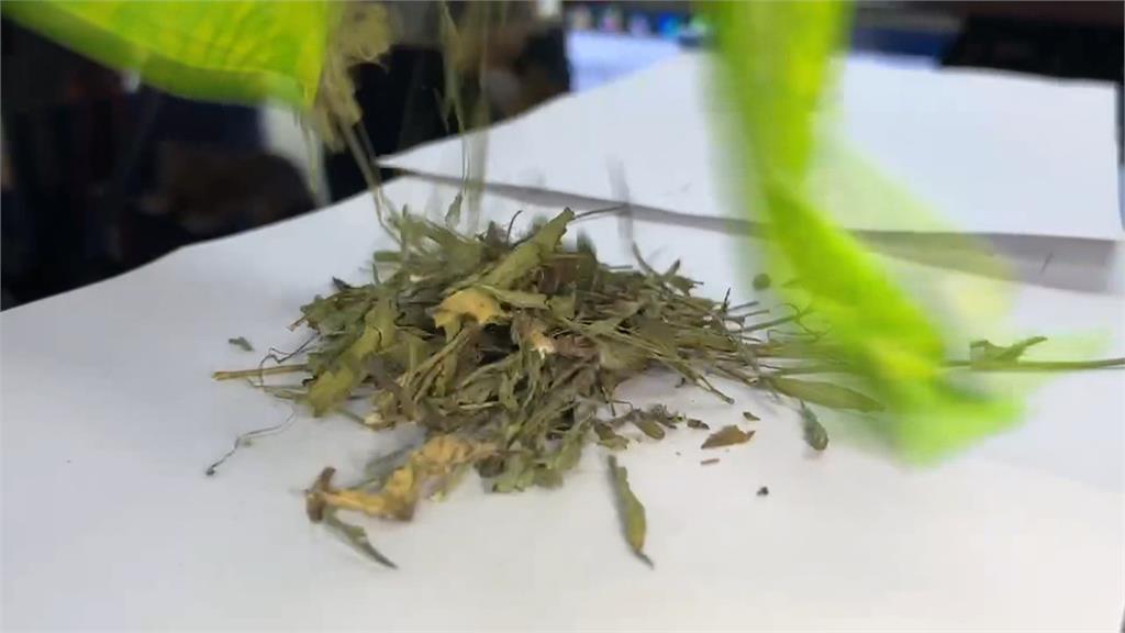 中藥行蒲公英混用「兔兒菜」違法! 最高可處五千萬元