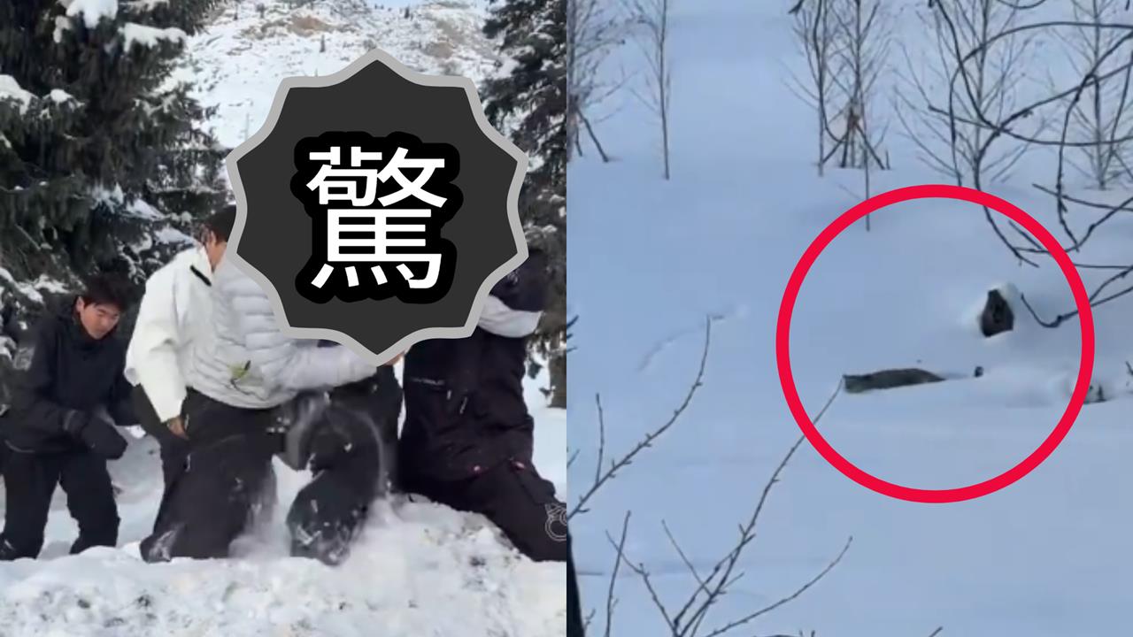 中國女遊客疑為拍照接近雪豹！遭瘋狂撕咬「滿臉鮮血」驚悚畫面流出