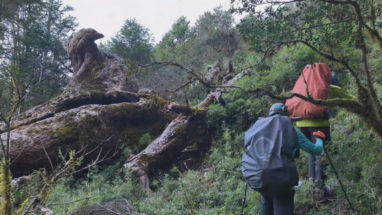 紀念已故好友! 山友登深堀山「綁布條架繩索」