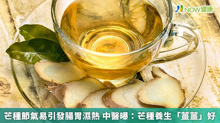 芒種節氣易引發腸胃濕熱　中醫曝：芒種養生「薑薑」好