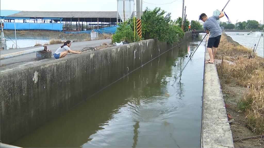 大雨狂炸！漁產損失逾3億 泥鰍、白蝦、<em>吳郭魚</em>全沒了