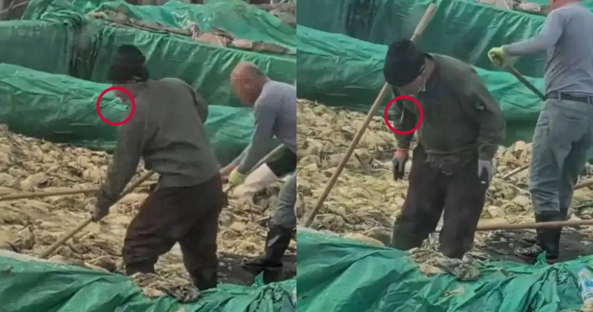 赤腳踩酸菜邊抽菸還吐痰 中國酸菜工廠超噁30秒片瘋傳「監管扣押銷毀」