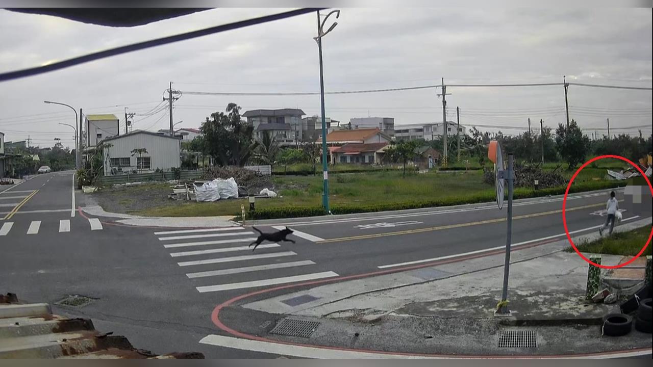 流浪狗狂奔而來!男童驚逃 家畜所捕捉被餵養夫妻阻擋