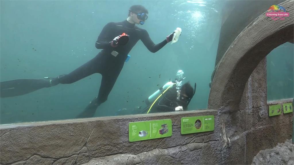 台北市立動物園也有潛水員！辛苦風險甘苦談