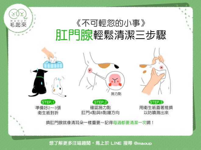 【狗貓健康】不可輕忽的小菊花保健法！肛門腺輕鬆清潔3步驟｜寵物愛很大