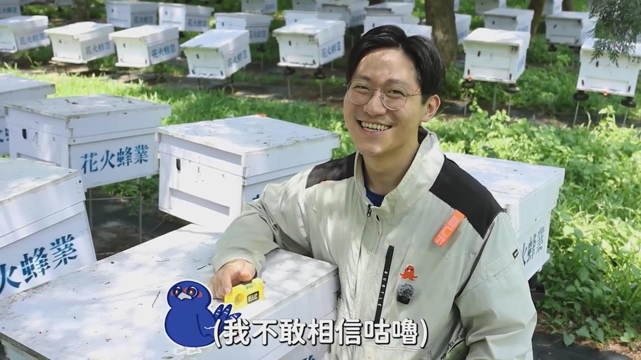 颱風來襲養蜂場怎麼防颱？蜂農曝四招保護蜂群