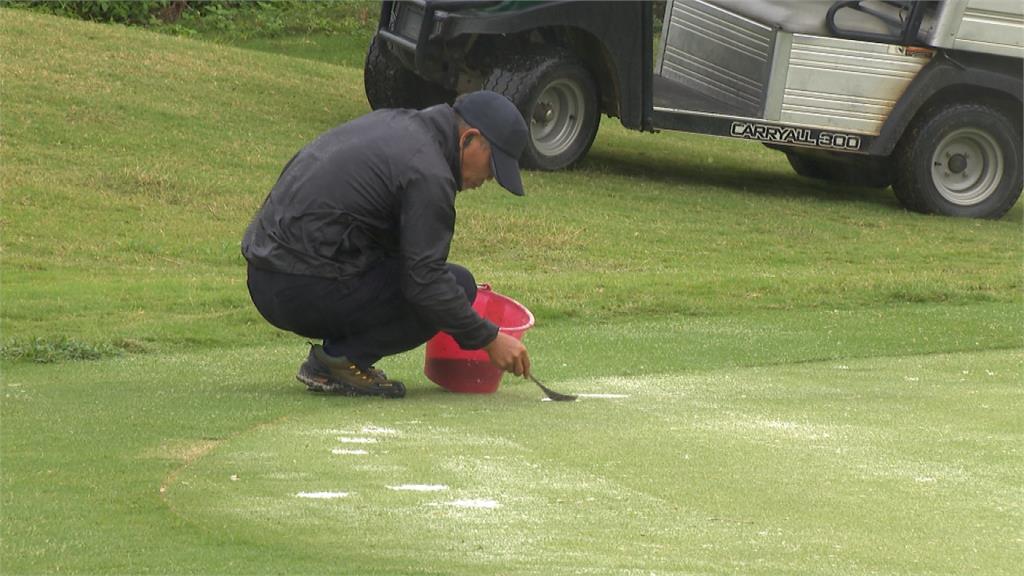 維持LPGA賽事水準 日本職人修球具、割草師清晨上工