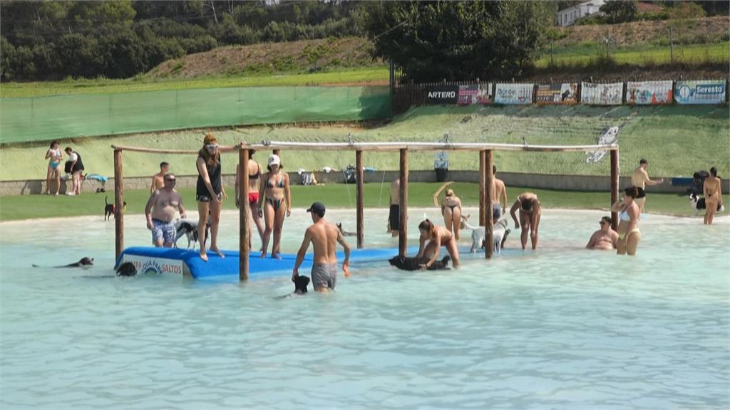 西班牙狗狗水上樂園湧人潮！　每天數百人帶毛孩戲水消暑