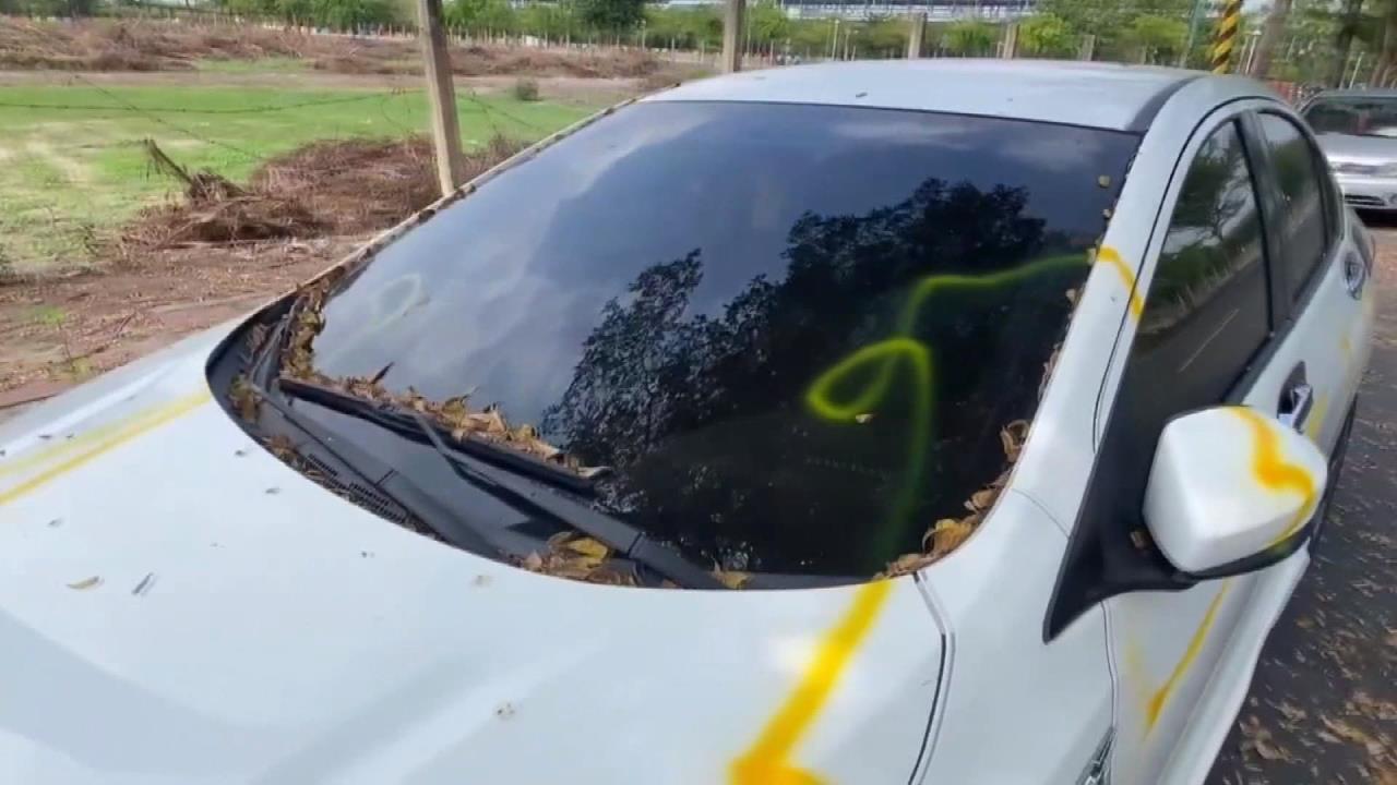 彰化高鐵站周邊驚見「噴漆怪客」　6車慘遭「毀容」