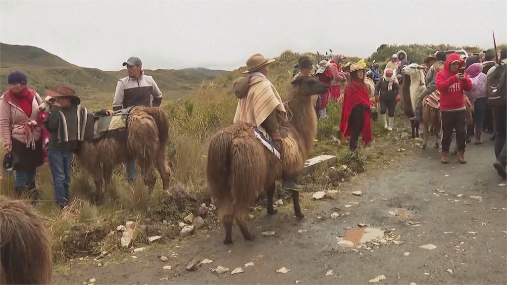 2/2世界濕地日！厄瓜多開辦兒童騎駱馬比賽