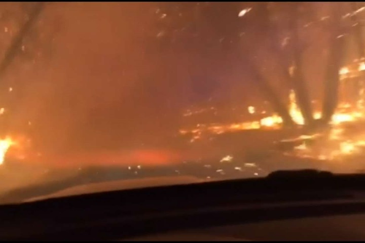 加州野火燒不盡 已釀31死逾400人失蹤