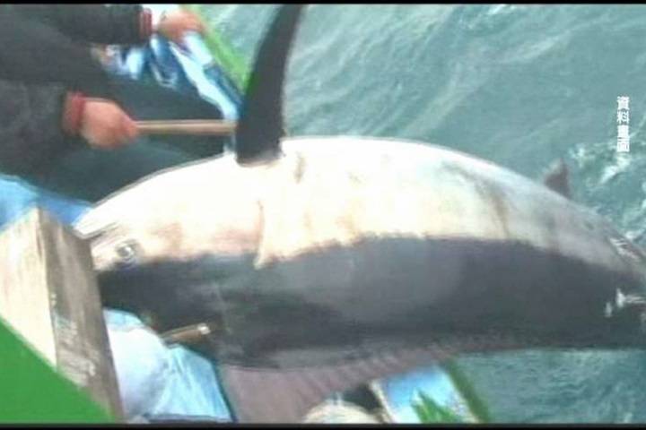 擲鏢槍捕旗魚 50多歲漁民疑體力不支身亡