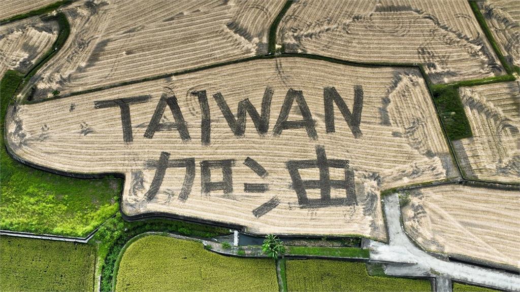 暖心正能量！花蓮稻農耕出「TAIWAN加油」字樣　寫字過程曝光網看哭