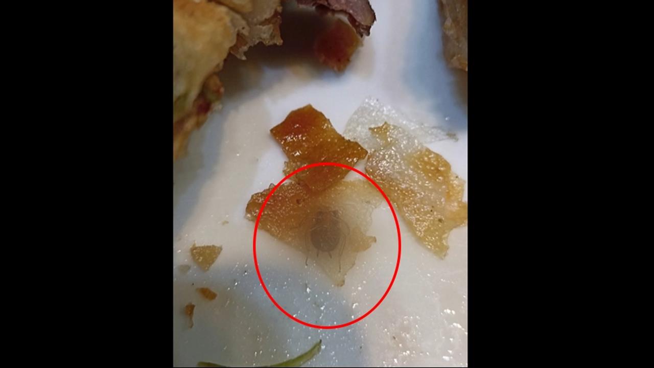 噁!台中連鎖水餃店「捲餅包小強」 民眾嚇壞:差點反胃吐出來