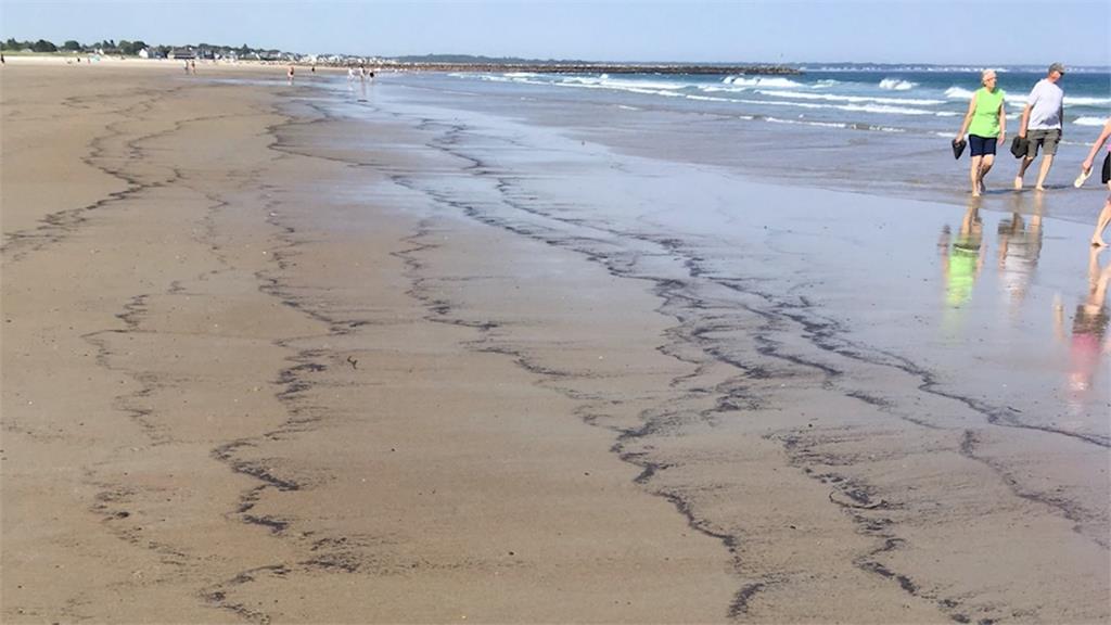 緬因州海灘蟲屍體髒汙　馬爾馬拉海「海鼻涕」