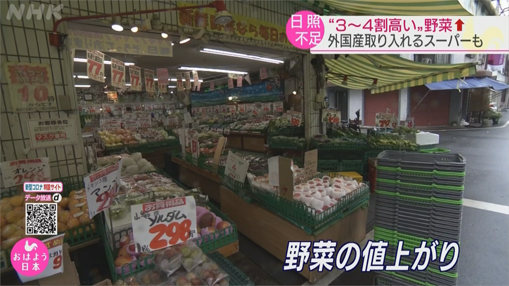 日本上半年天候不佳　蔬果批發價比往年更貴