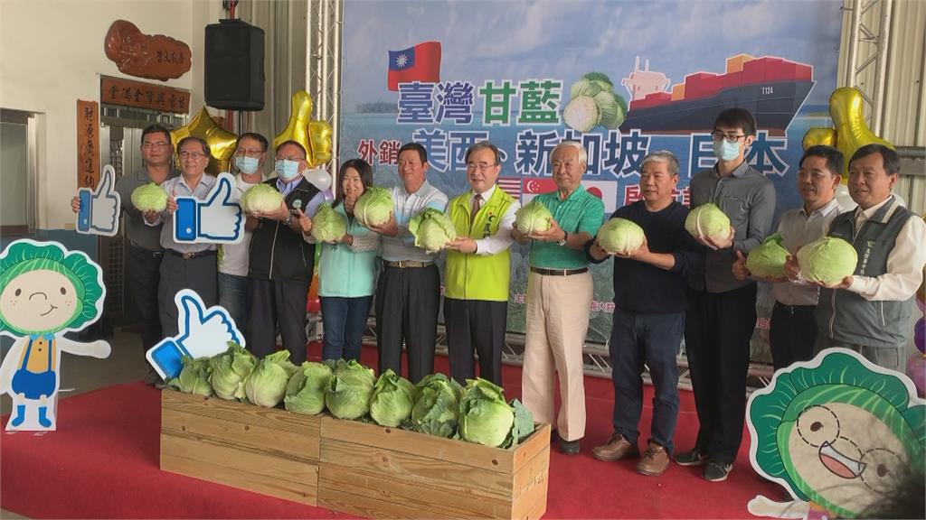 農糧署媒合農產合作社 外銷高麗菜80公噸