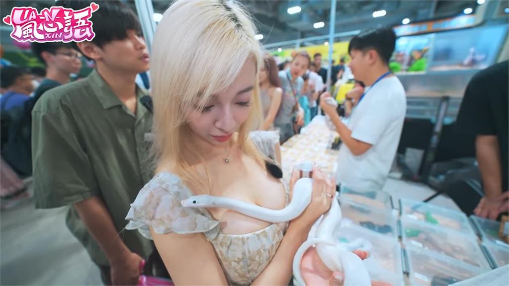 太香了！逛爬蟲展見小白蛇成精　主動「狂蹭妹子胸口」網羨：好想當蛇