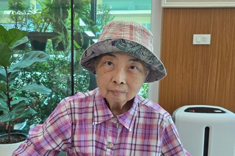 快新聞／不捨！前民進黨立委陳婉真驚傳泰國清邁病逝　享壽75歲