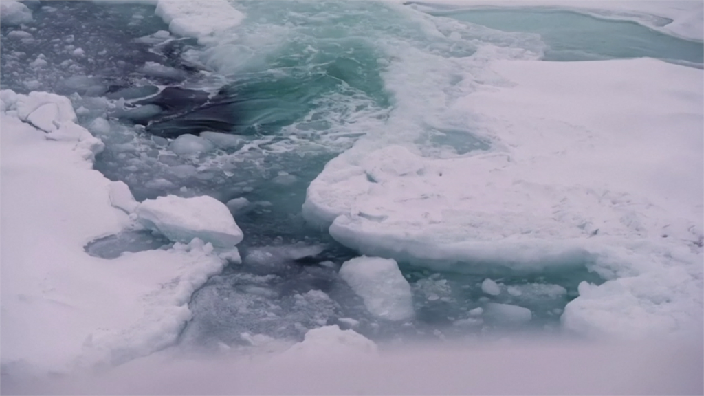 全球暖化 北極海冰覆蓋面積降至40年來次低