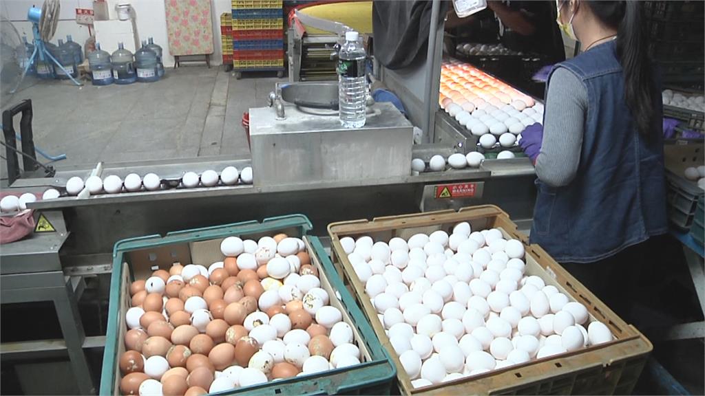禽流感釀雞蛋缺貨　盤商一籃竟喊到「這價錢」