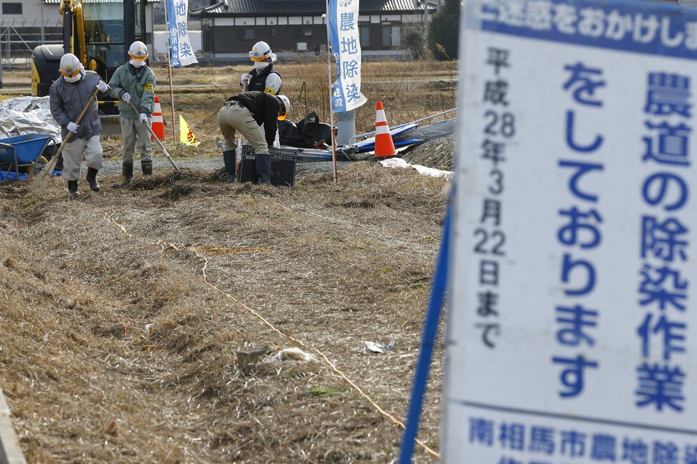 快新聞／核廢土放政府！日政府宣布　福島核災除染土「用於中央機構花圃」