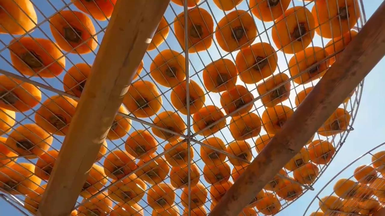 竹縣新埔「柿餅海」消失　一半棚架曬的都是「寂寞」