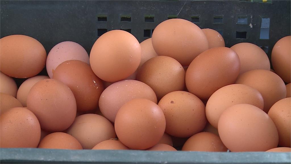 禽流感缺貨又遇消費量大 雞蛋價格高漲