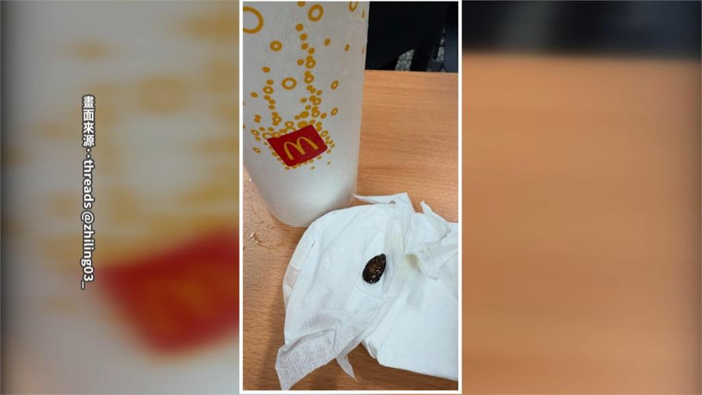 麥當勞紅茶竟喝到蟑螂　民眾直呼太噁心