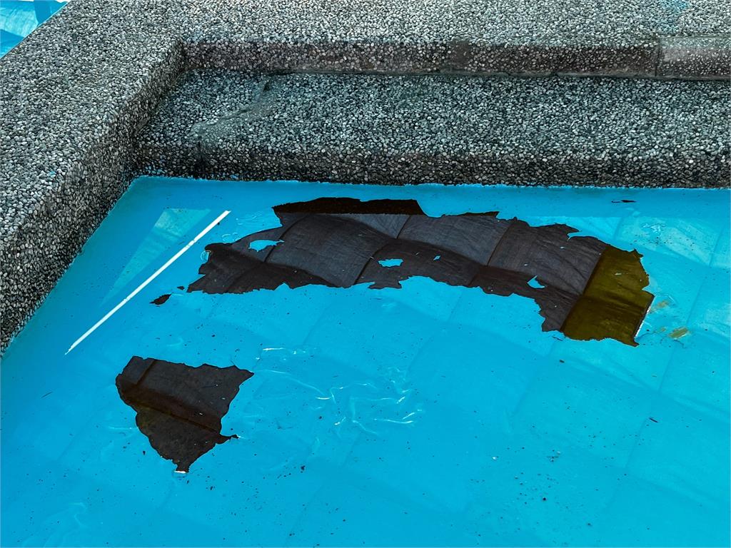 戲水驚見黑色漂浮物？　花蓮知卡宣親水公園大落漆