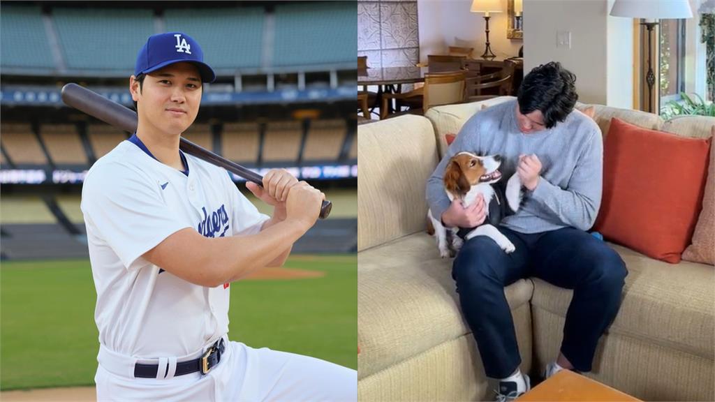 MLB／大谷翔平不再孤單！曝光與愛犬可愛互動：一起吃飯、睡覺很新鮮