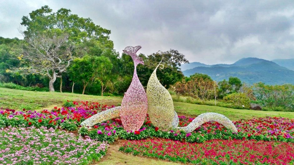花IN台北 | 2025台北花季「茶花展」打頭陣　8條捷運賞花路線邀你輕鬆體驗花之美