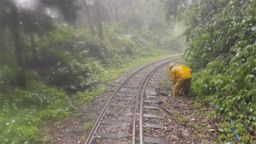 阿里山達邦公路落石不斷　達娜伊谷出現飛瀑景象