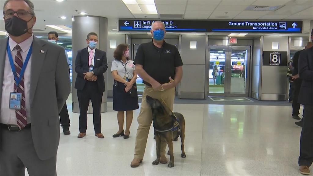 準確度最高99％　邁阿密機場「嗅毒犬」出任務