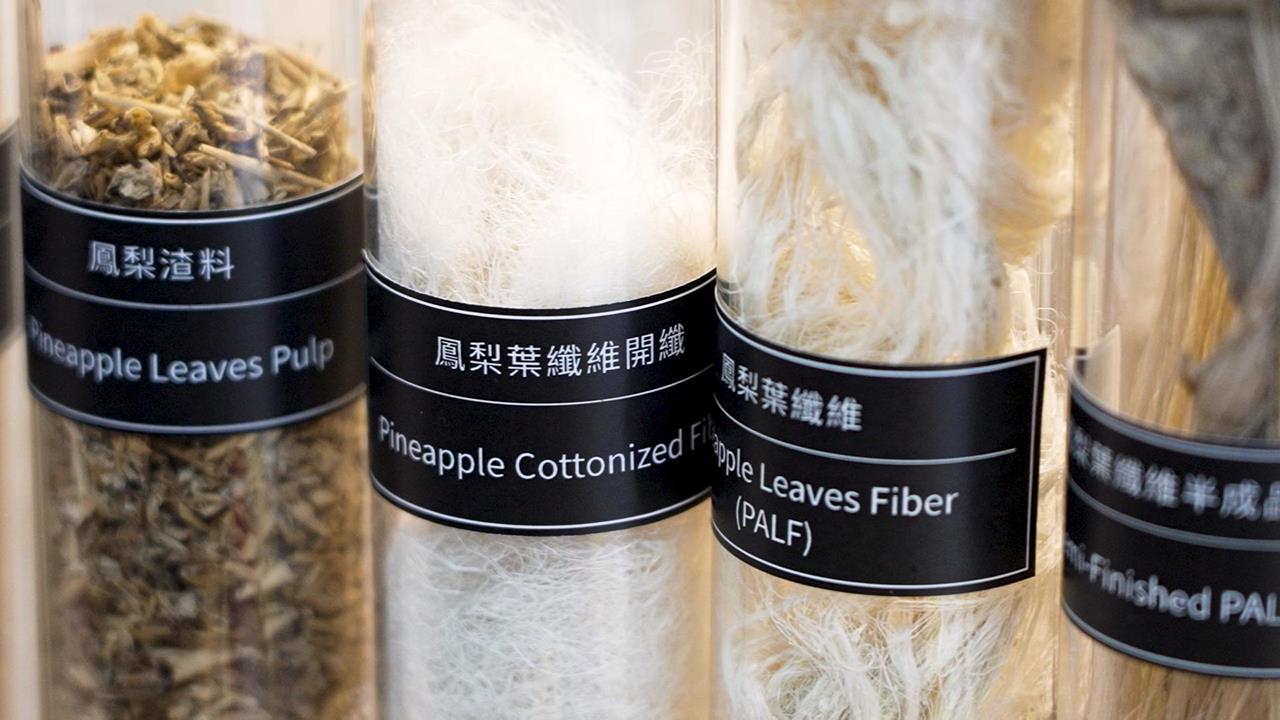 循環台灣隊系列報導/鳳梨葉變永續纖維 環境部8+N聯盟推資源循環