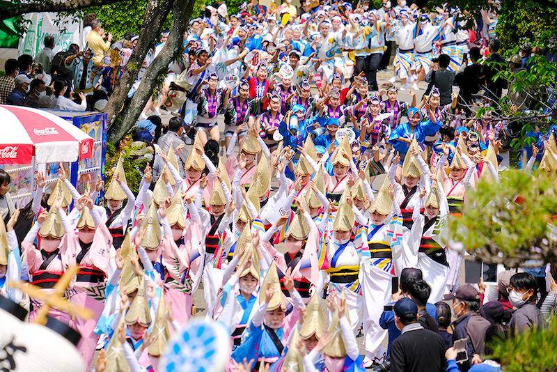 日本盂蘭盆節長假　德島阿波舞盛大開幕