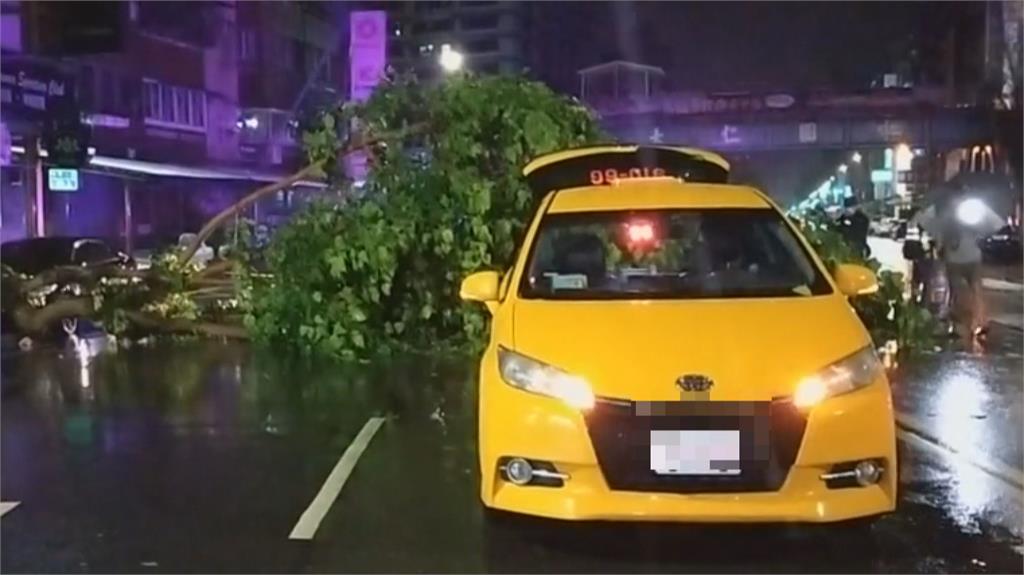 高雄風強雨驟　路樹倒塌砸到行駛中的小黃