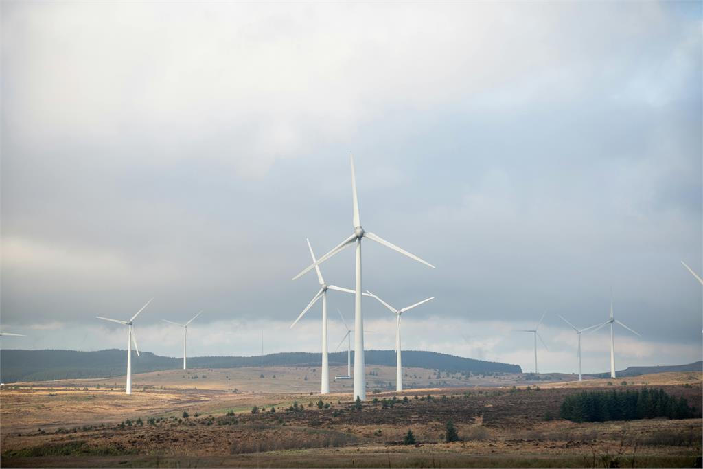 金主出走即倒！風電葉片製造商天力離岸公告停產、裁員 震驚市場