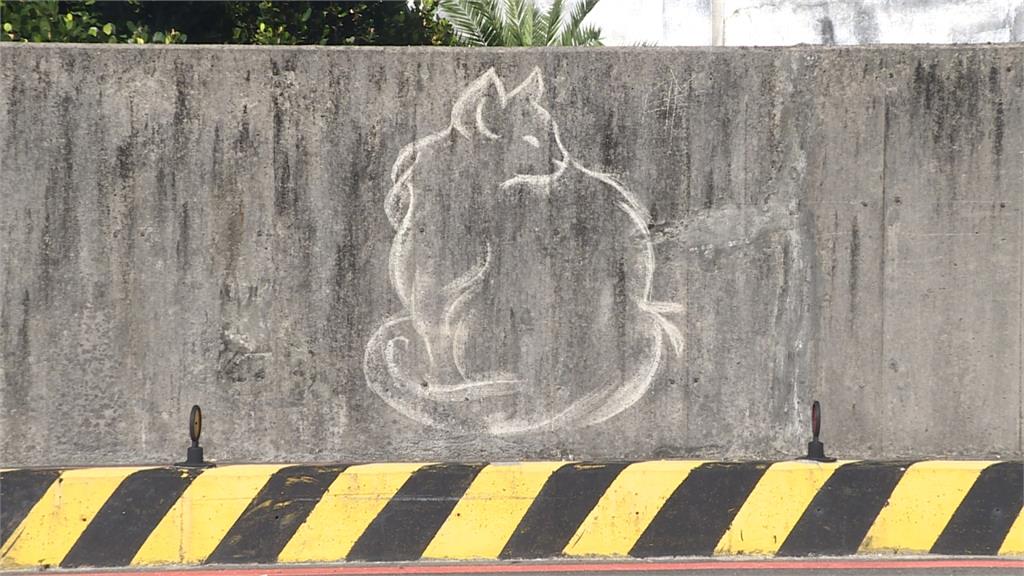 畫貓怪客又現蹤 和平島圍牆15幅貓塗鴉