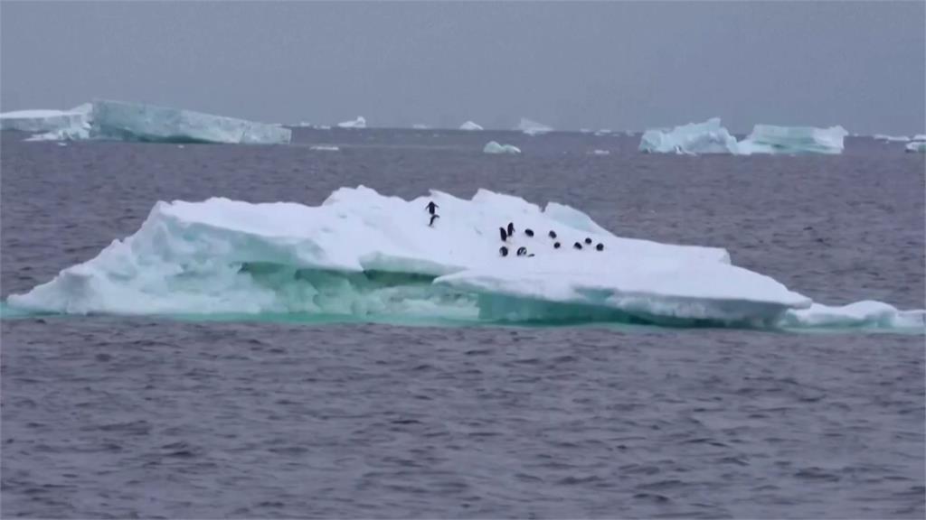 擱淺長達30年　世界最大冰山脫離海底加速漂動
