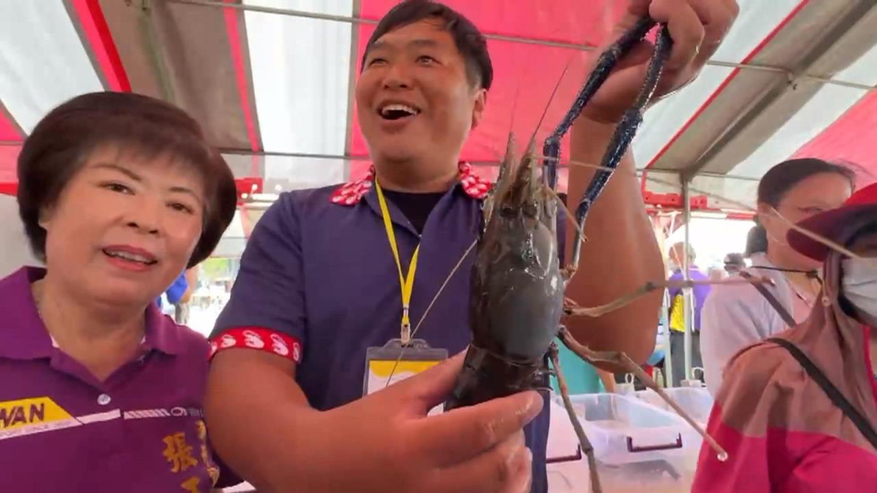 暖冬泰國蝦長得好 屏東潮州鎮公所舉辦賽神蝦促銷 現煮現吃!