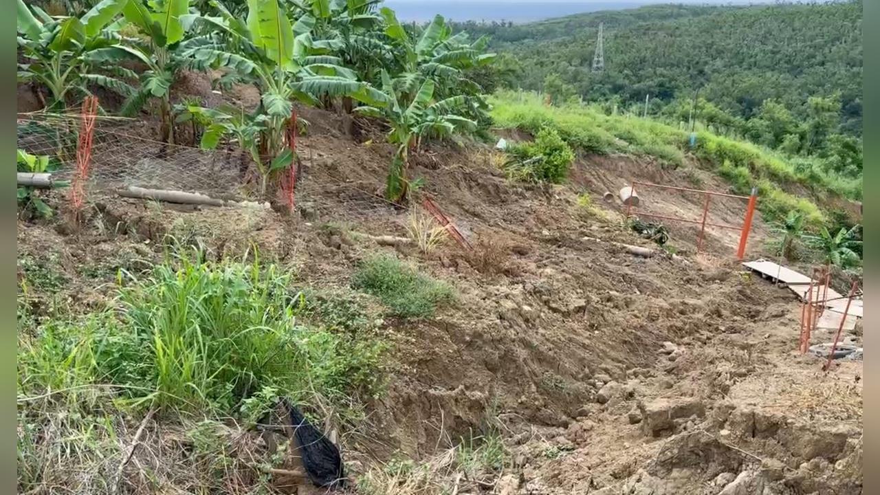 豪雨釀台東香蕉園「整片滑落山腳」! 蕉農全年心血沒了