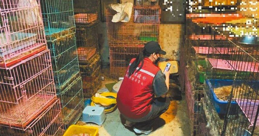 運將害7貓喪命！鐵鎚砸頭、利刃刺腹　二審逆轉輕判7月定讞