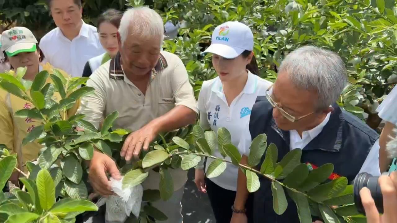 巴威颱風外圍環流影響　農產已損失　釋迦落果多、芒果還沒成熟