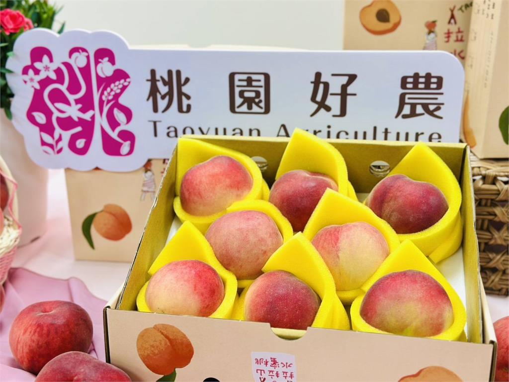 最甜應援！桃園球場開「水蜜桃趴」波士頓龍蝦、鱈場蟹等你抽