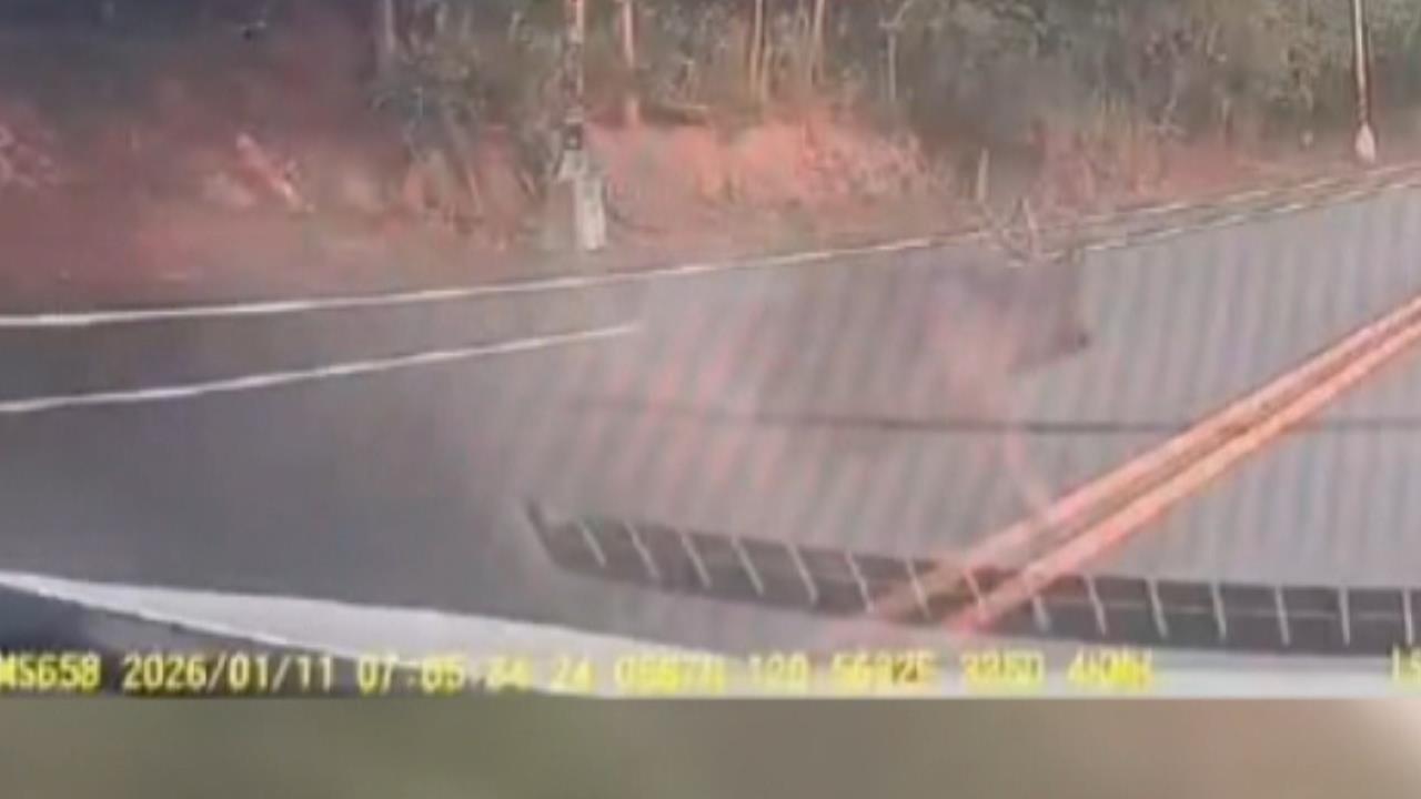 彰化多起"水鹿"撞車當場肇逃　苦主無奈求償無門