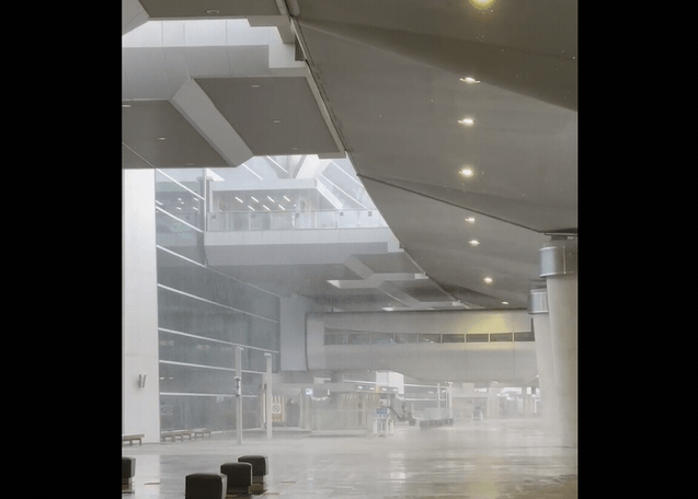 獨家／南韓「機場外下暴雪畫面曝光」！　赴韓旅遊民眾喊：凍到耳朵差點失蹤